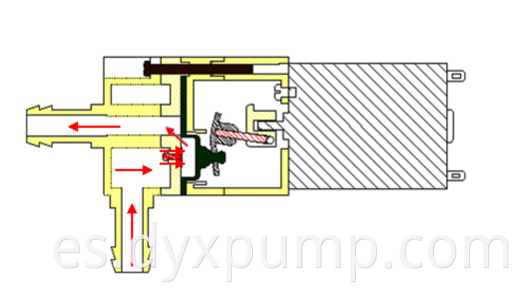 mini water pump working principle